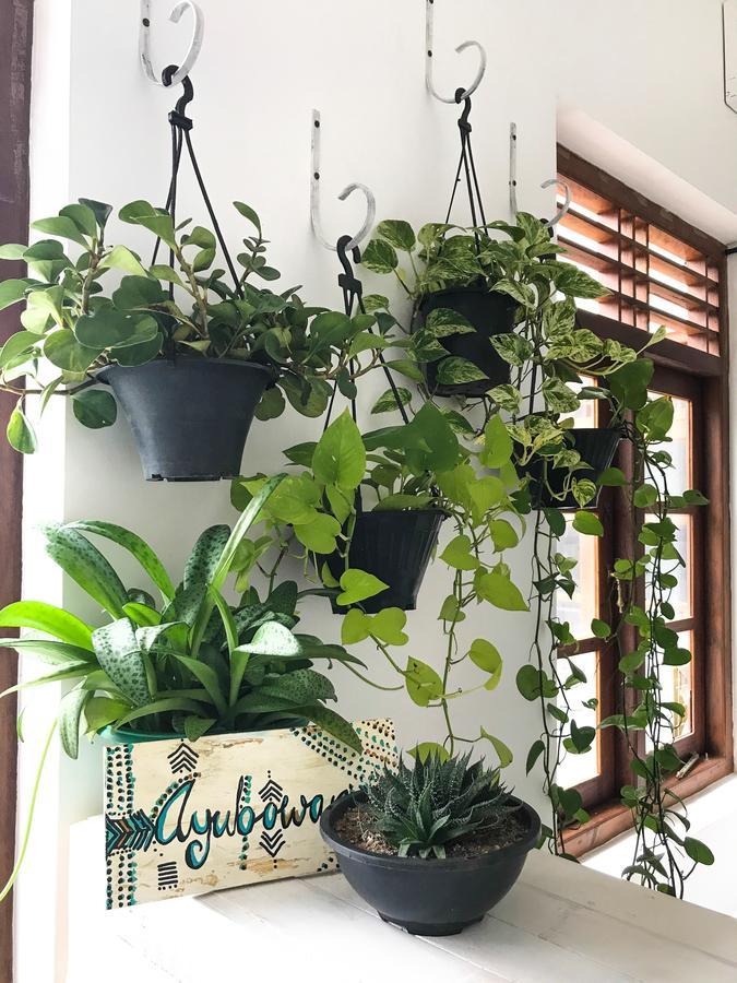 Bed & Bicycle Hostel Dehiwala-Mount Lavinia Εξωτερικό φωτογραφία